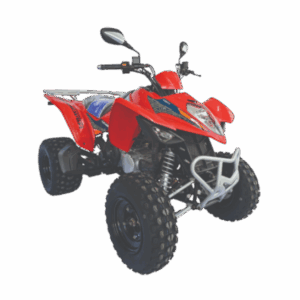 Maxxer 300 NH